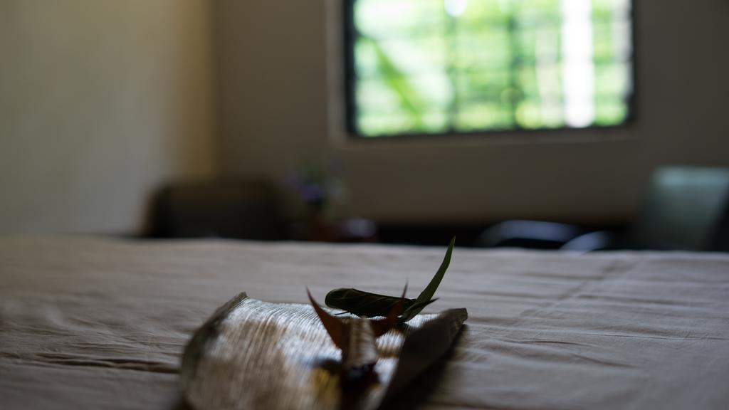 Thuy Bieu Homestay Хуе Екстериор снимка
