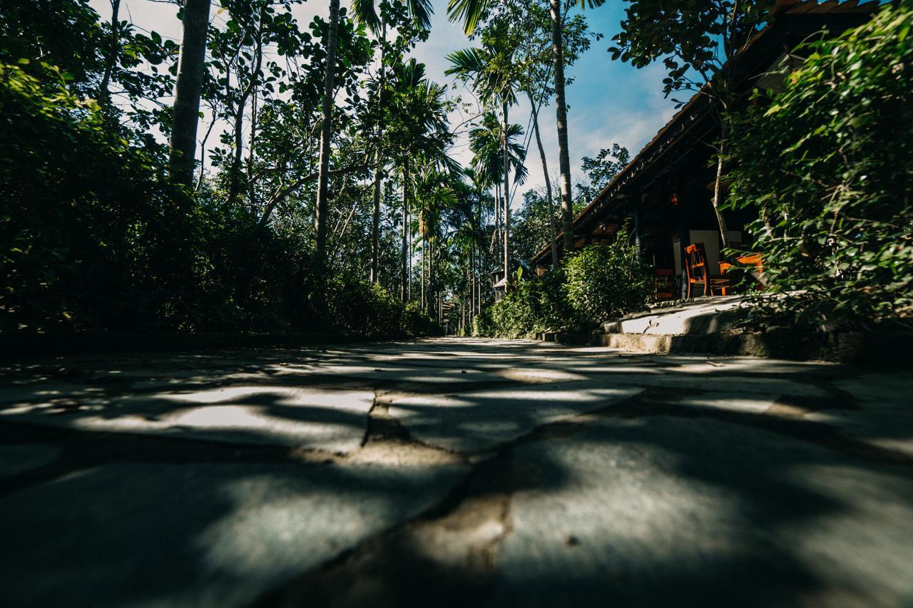Thuy Bieu Homestay Хуе Стая снимка