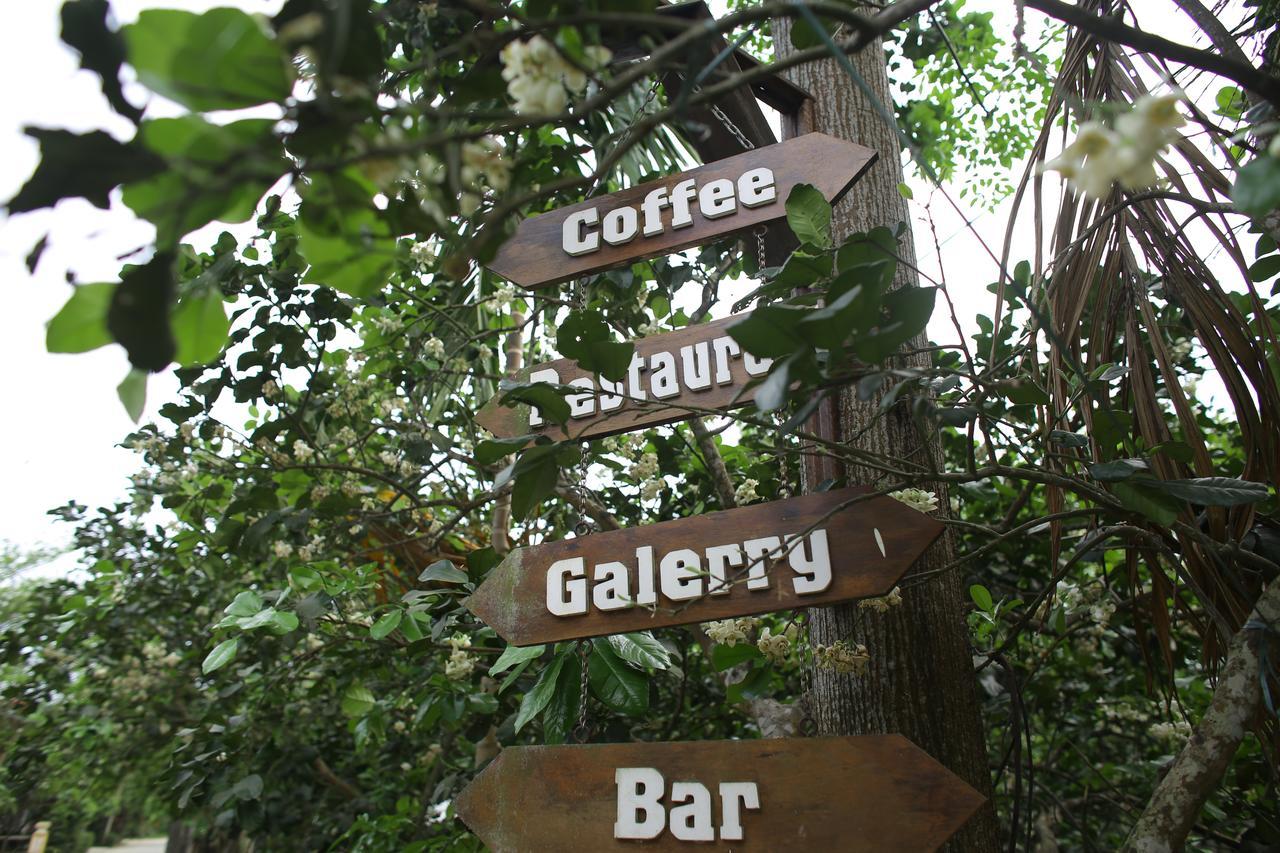 Thuy Bieu Homestay Хуе Екстериор снимка